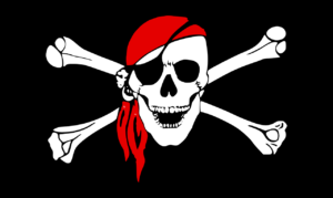 Pirat-viden